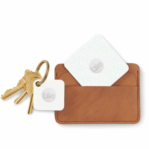 image-2172.jpeg image-2172.jpeg