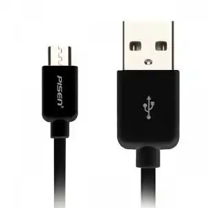 Pisen Micro Data Cable