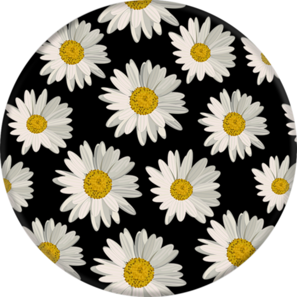 image-24.png image-24.png